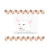 Cat Memes