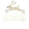 Hare