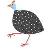 Guinea Hen 3