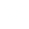 Nature Birds - Shirt