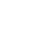 Bernese Mountain Dog