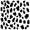 dalmatien