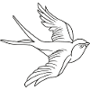 Bird of Freedom