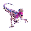 Velociraptor