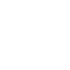 Pitbull