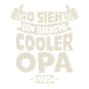 Cooler Opa