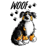 Woof Bernese Mountain Dog