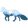 Fox moonlight fox moonlight