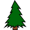 Fir / fir
