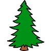 Fir fir