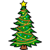 Christmas tree / Christmas tree