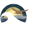 Möwe am Meer