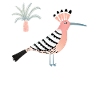 Hoopoe
