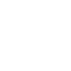 Airline Pilot Aircraft