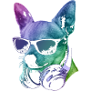 DJ Chihuahua