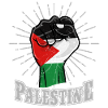 Palestine fist