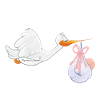 Cigogne