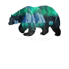 Save the Arctic