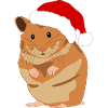 Weihnachtshamster Weihnachten Hamster Geschenk