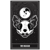 The Moon