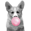 Kaugummi-Corgi