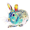 Rabbits