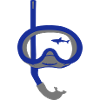 Taucherbrille und Hai