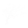 Tree white