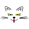 Funny cat