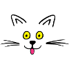 Funny cute cat