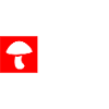 Pilzsammler