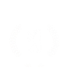 berliner_original1965