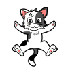 Kitten cat pets