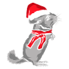 Chinchilla Christmas