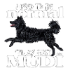 mudinormal