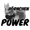 Hörnchenpower Eichhörnchen Tiere Spruch