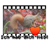 Liebe Paar Eichhoernchen Tier Spruch
