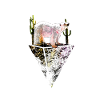 Climate change polar bear