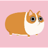 Hamster