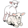 Ovejas Pascua cordero animales de granja niños lana
