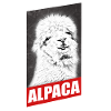 Cadeau Lama Alpaga