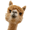 Alpaca in polygon design