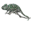 chameleon