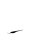 Z comme Zander