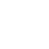 Wing chun