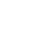Wing Chun
