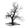 dead tree 4567469 1920