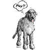 Wolfhound irlandais