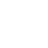 Mont Rushmore (DDP blanc)