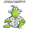 Schaf schön Frosch